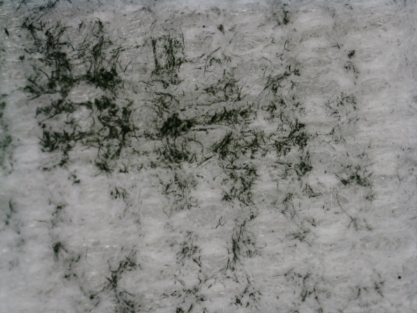 PICT0007.JPG